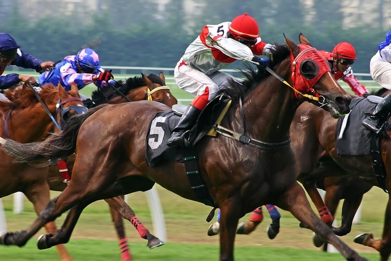 The Fine Cotton Ring-In That Shook Australian Racing